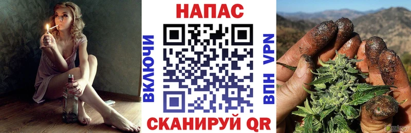 Бошки Шишки семена  Евпатория 